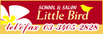 LittleBird